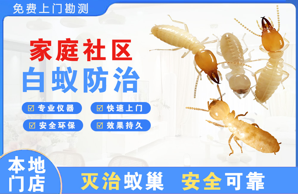 淮安家庭社区白蚁防治