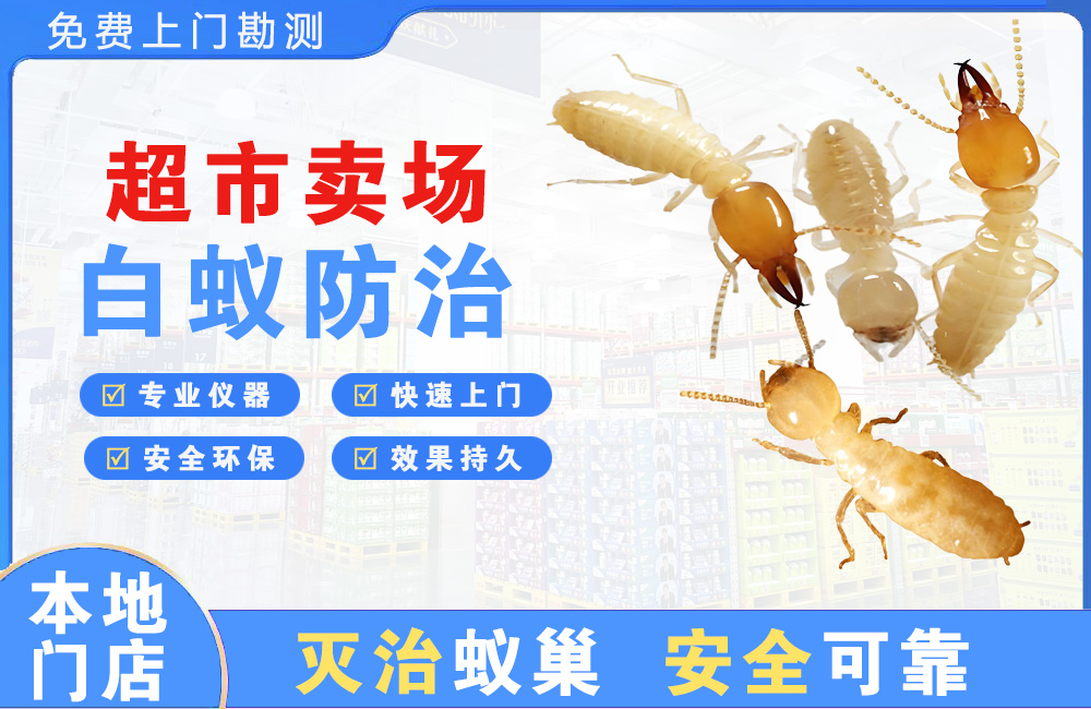 淮安超市卖场白蚁防治