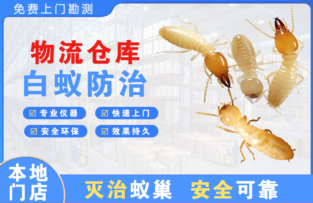 淮安物流仓库白蚁防治