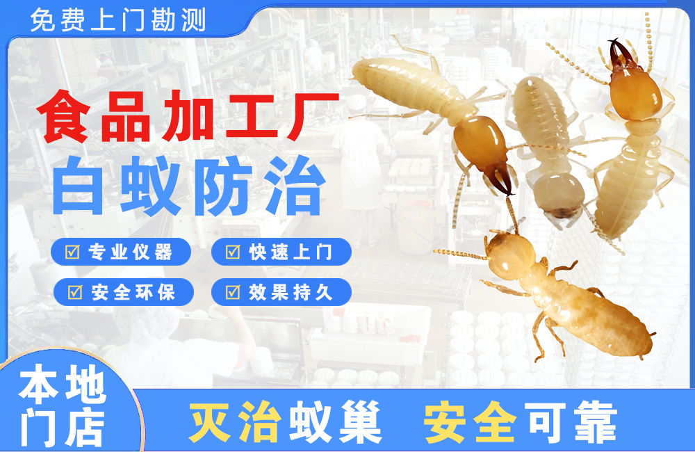 淮安食品加工厂白蚁防治