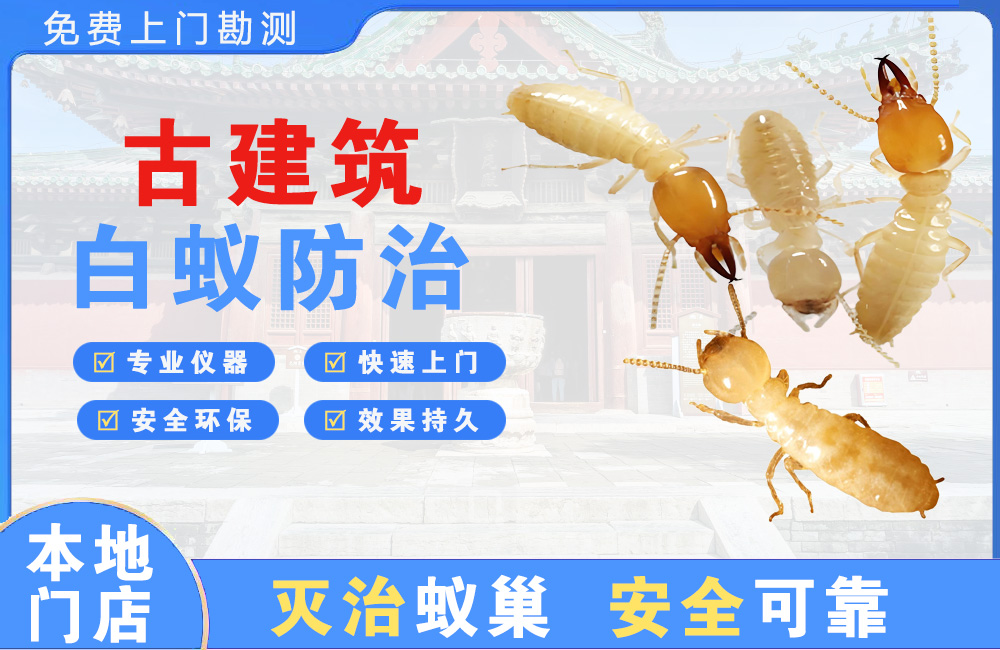 淮安古建筑白蚁防治