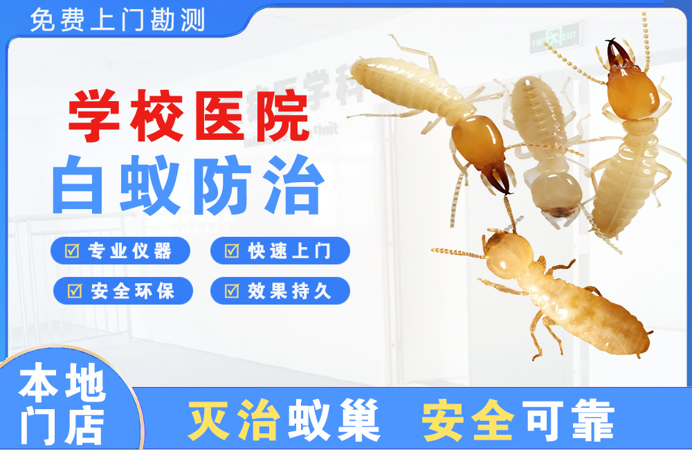 淮安学校医院白蚁防治