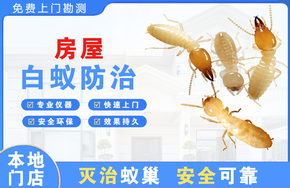 淮安房屋白蚁防治