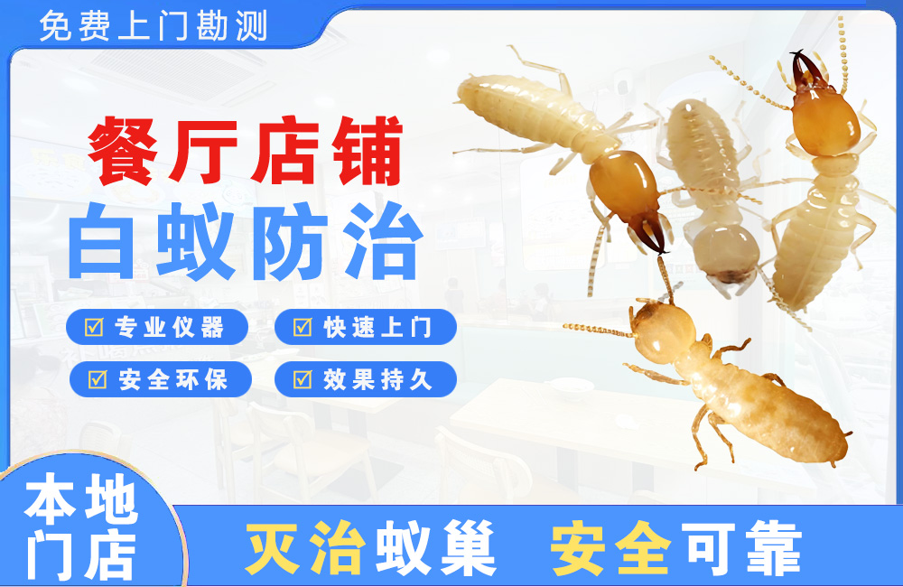 淮安餐厅店铺白蚁防治